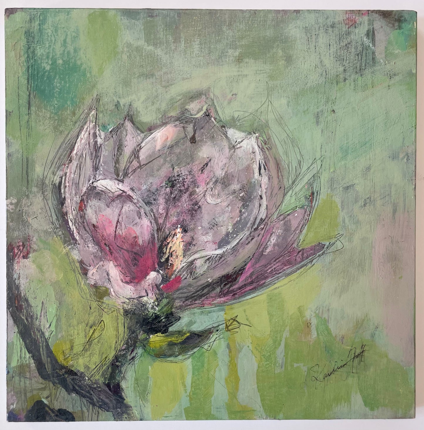 Magnolia II