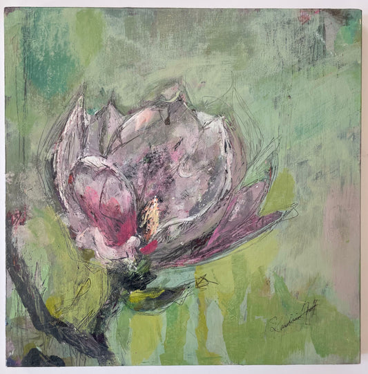 Magnolia II